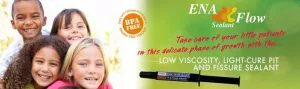 ENA FLOW Sealant - fényre kötő tömítőanyag 2g